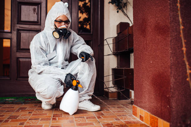 Reliable Wasp Removal contractor in La Grulla, TX by Show Me Pest Control